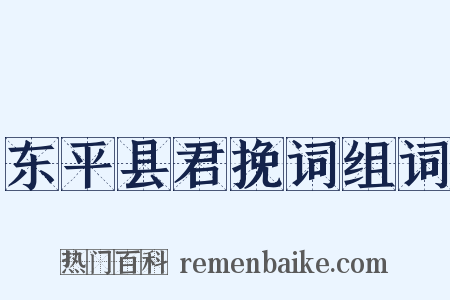 东平县君挽词组词是什么意思的图片